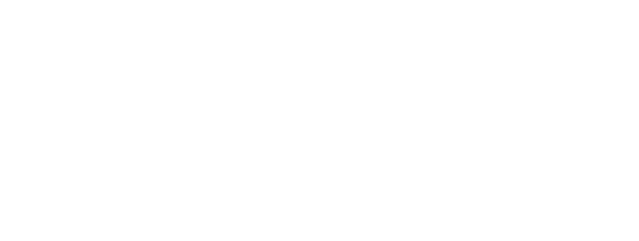 NSN Never say never